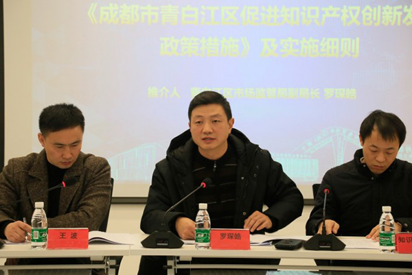 青白江区促进知识产权创新发展政策推介会圆满落幕(图3)
