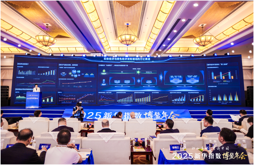 新华指数研究院：担当时代使命共创未来新篇展望“十五五”新机遇