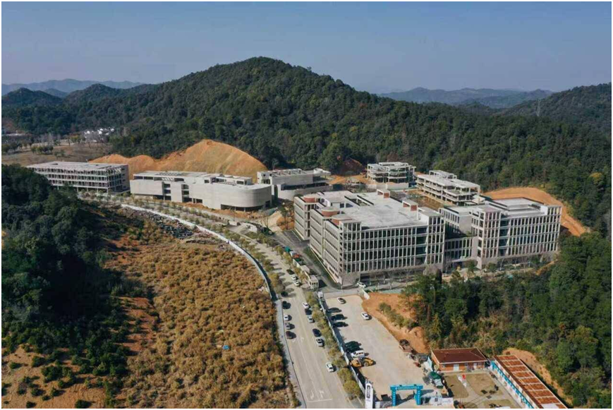 淘宝直播十周年盛典弄子里荣耀加冕(图4)