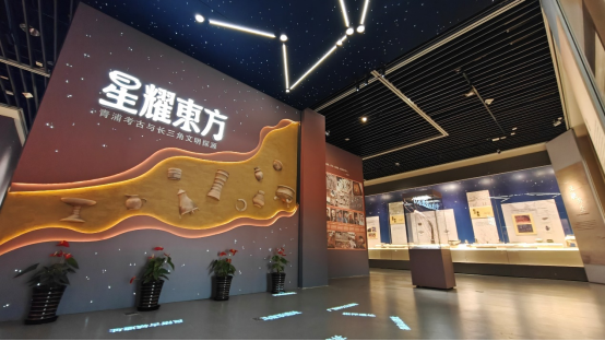 遇见“三种夏天” 上海青浦“一季十美”十大系列活动引爆暑期季