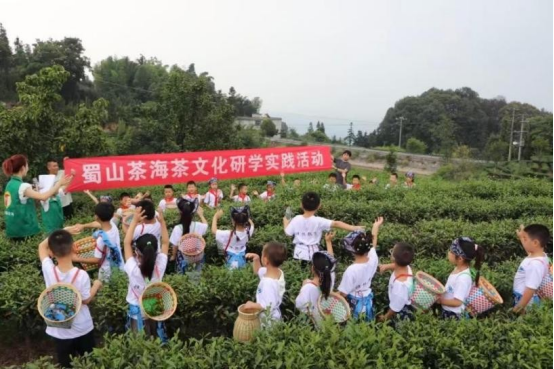 立足黄金产茶带巧做抹茶大文章宜宾国企解锁三产融合新范式(图3)